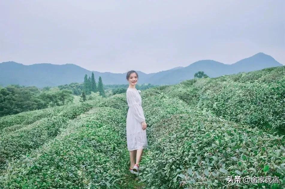 其实长沙还藏着很多小众景点,长沙一日游小众景点推荐