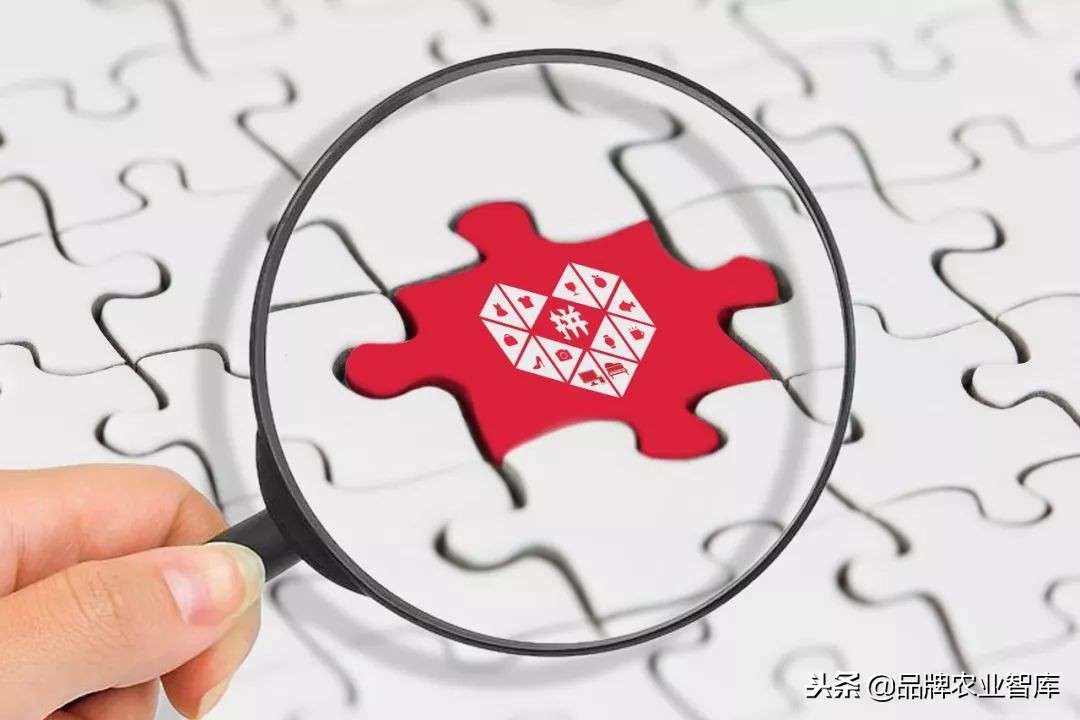 拼多多逻辑深度解析,拼多多深度剖析