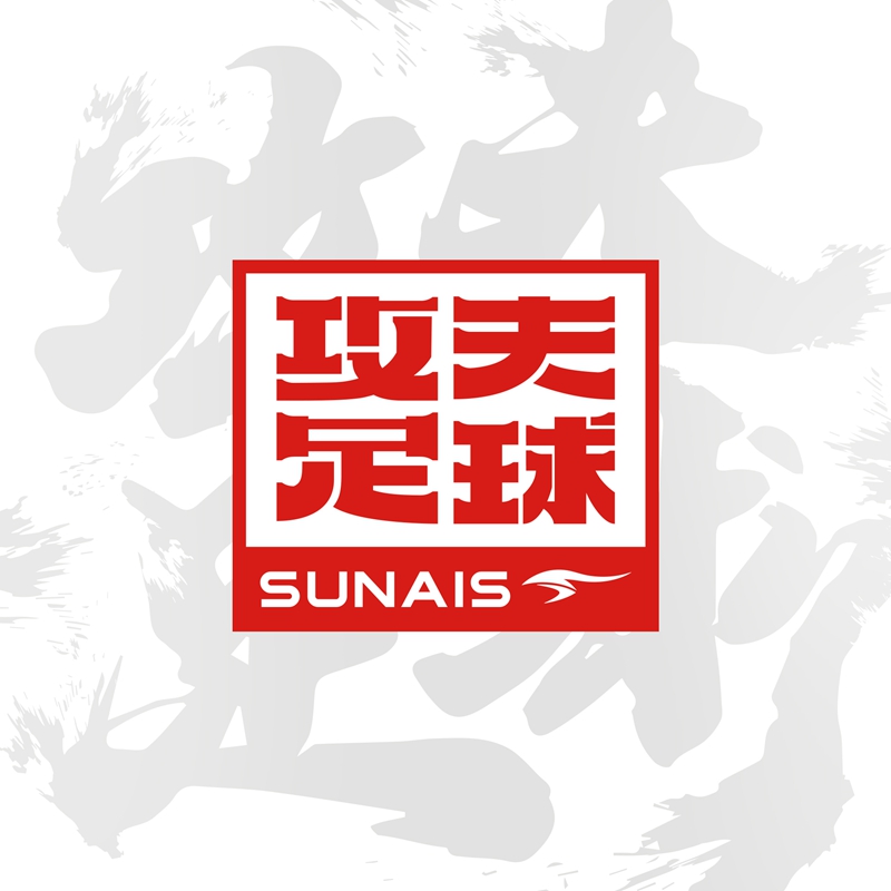 舒莱狮足球怎么打气,舒莱狮足球