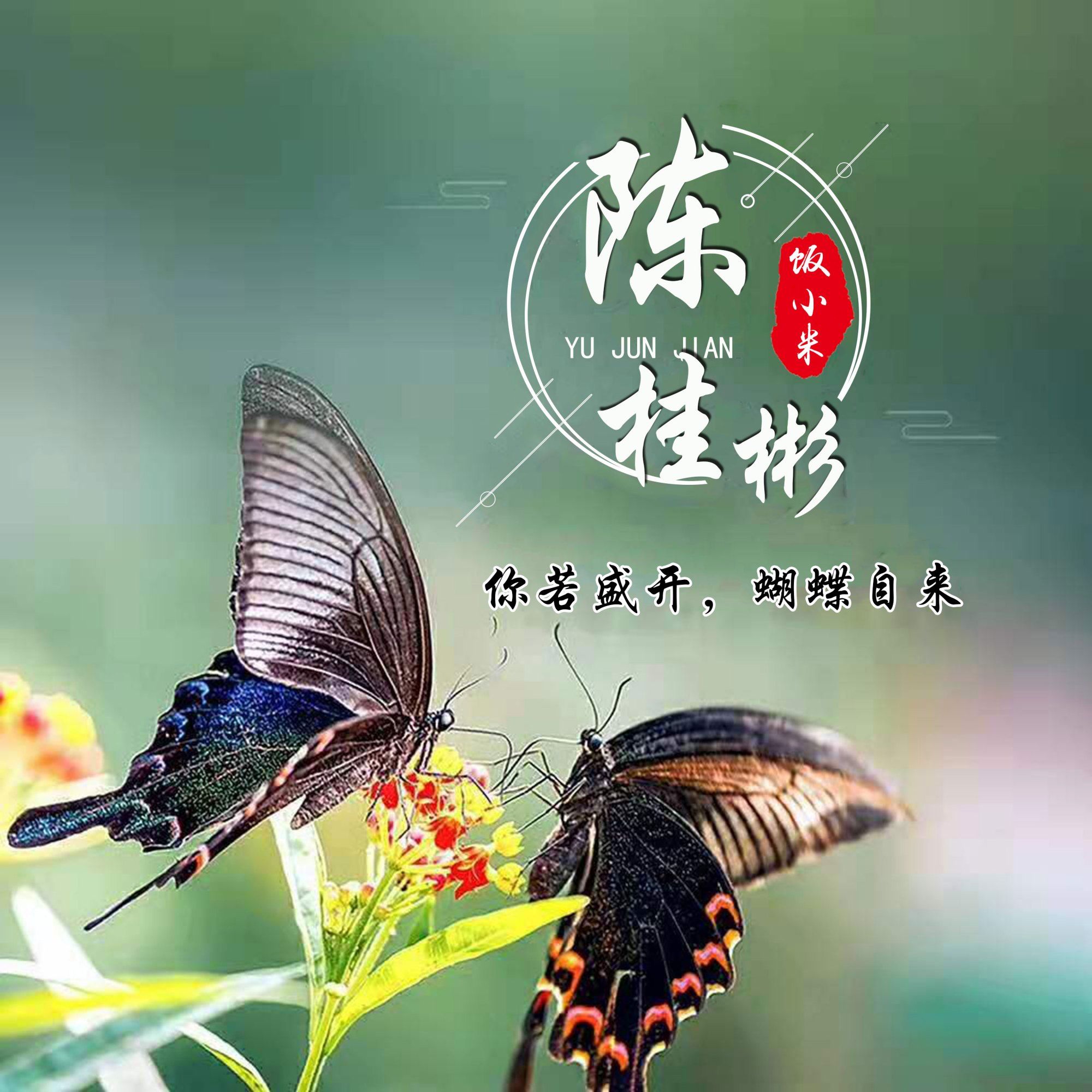 微信头像暴露了你的性格，43张微信姓氏头像送给你，喜欢吗？