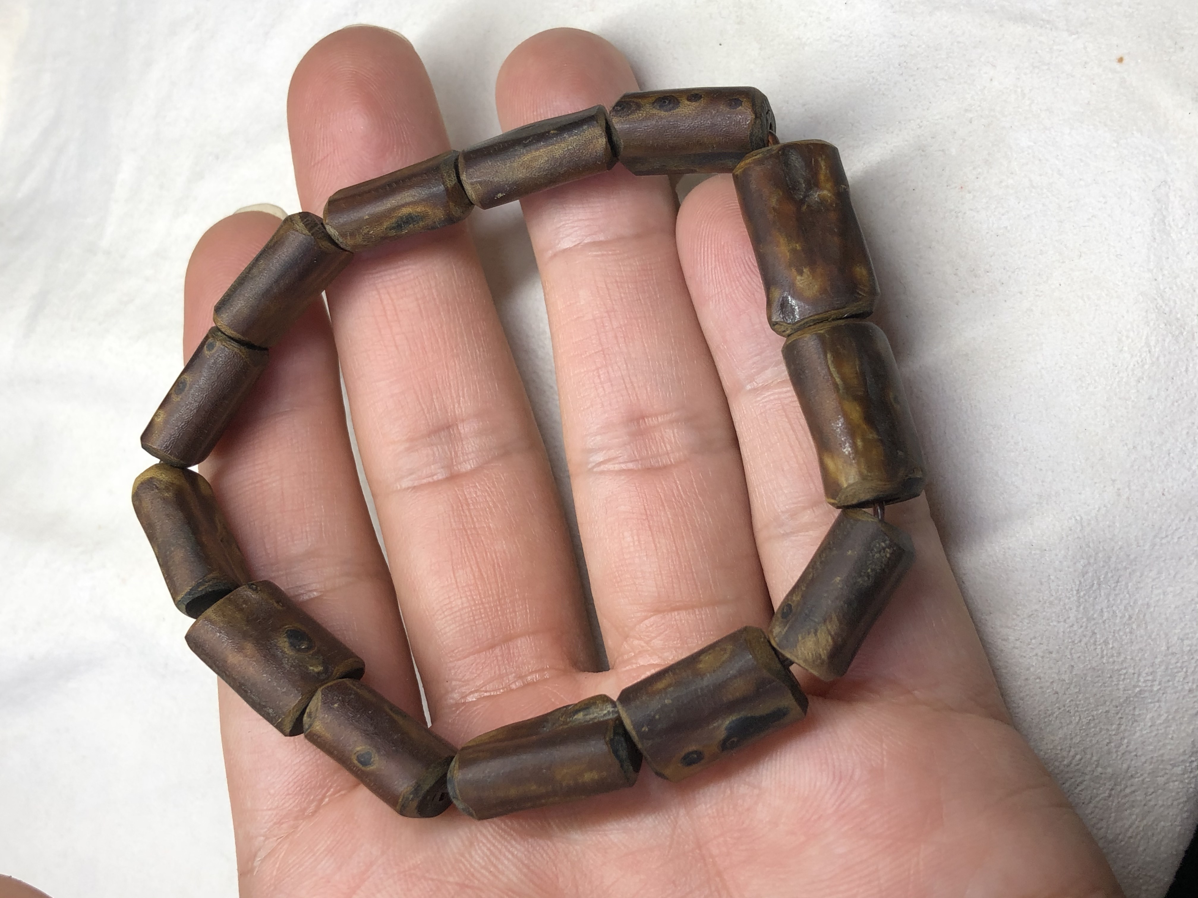 海柳木怎么鉴别,海金柳怎么辨别真假