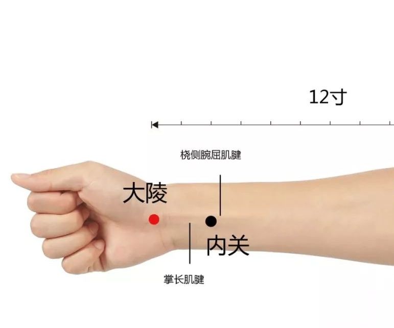 咳嗽内热吃什么降火效果最好,上火喉咙干痒咳嗽怎么办食疗