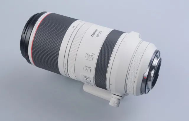 佳能rf100-500mm镜头拍鸟,佳能长焦相机100倍