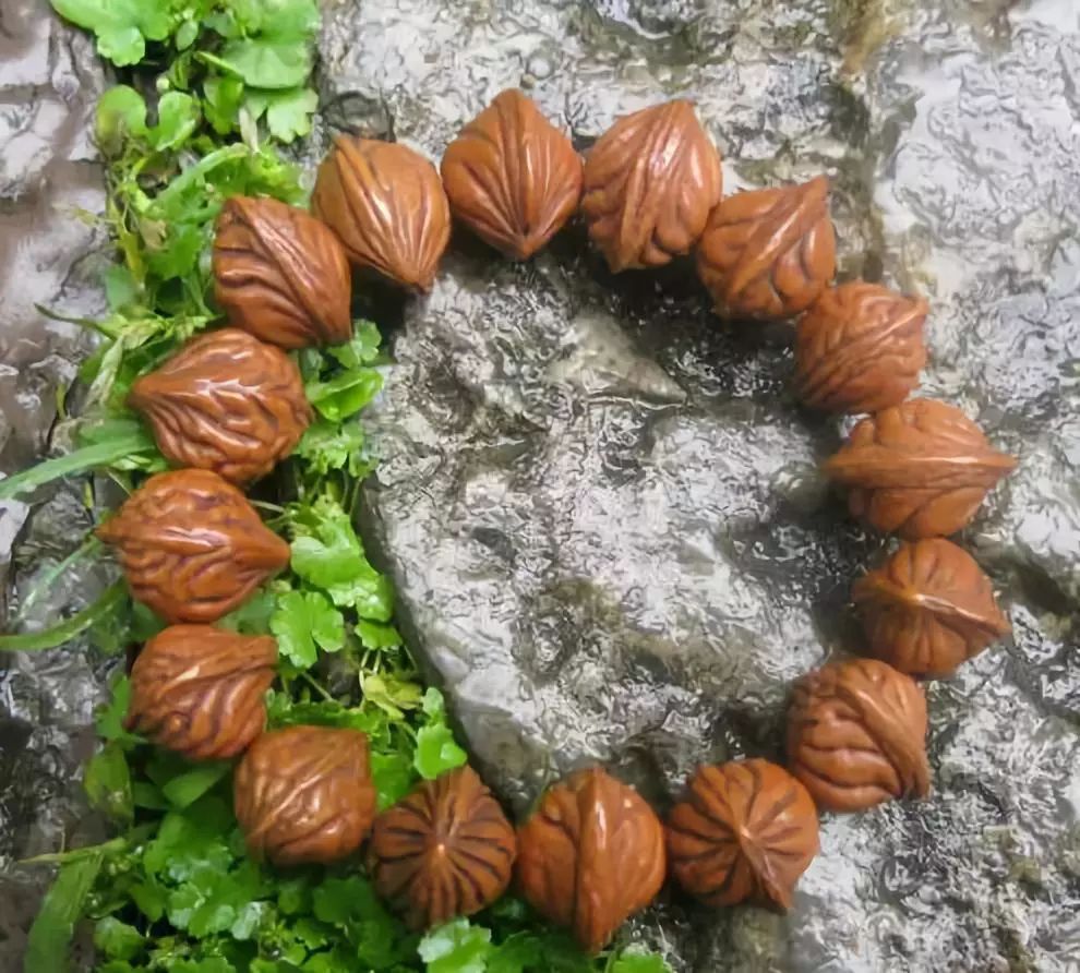 菩提手串大全图解,菩提手串的种类图解