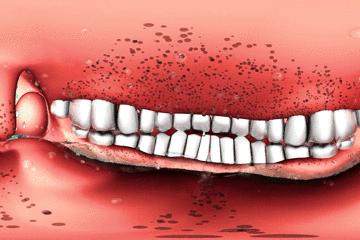 浣犵殑韬綋鍒板簳闀夸粈涔堟牱,浣犵煡閬撲綘鐨勮韩浣撻暱鍟ユ牱瀛愬悧
