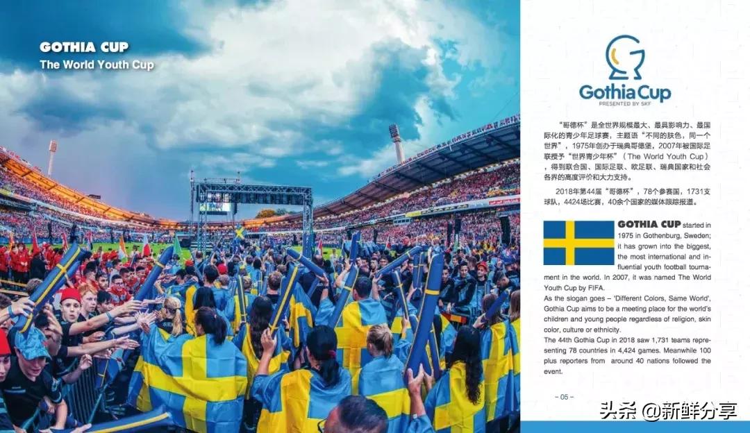 哥德杯世界青少年足球赛,国际青少年足球大赛在哪里举办