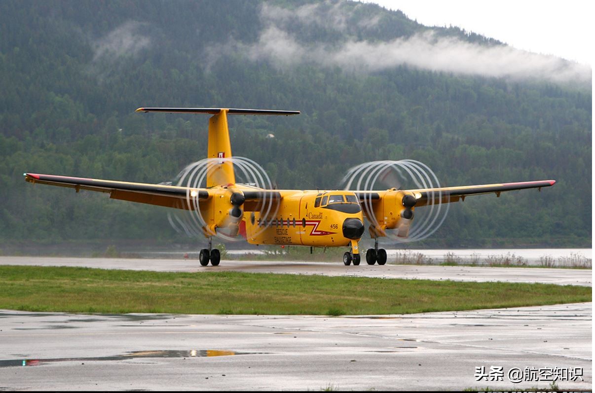 飞机制造商对动物的喜爱到底有多深？——德哈维兰加拿大