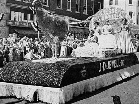 速生鸡与白羽鸡是什么,白羽鸡养殖技术和方法图解