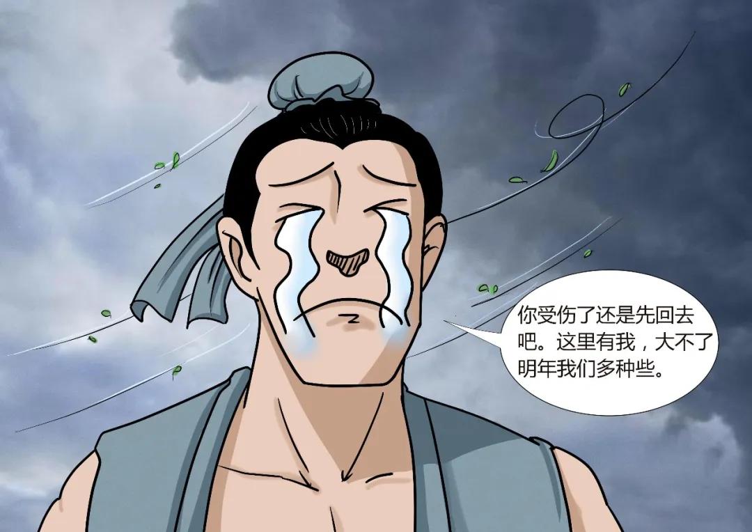 民国美人二十四节气插画芒种,二十四节气中芒种的图片怎么画