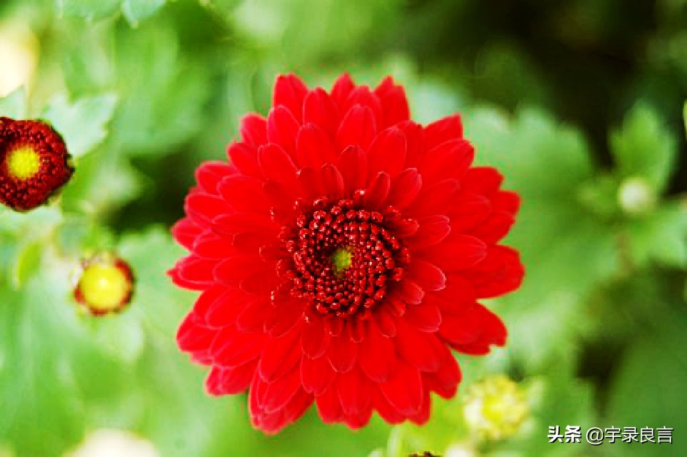 增长人生智慧的经典良言,老一辈人的智慧良言