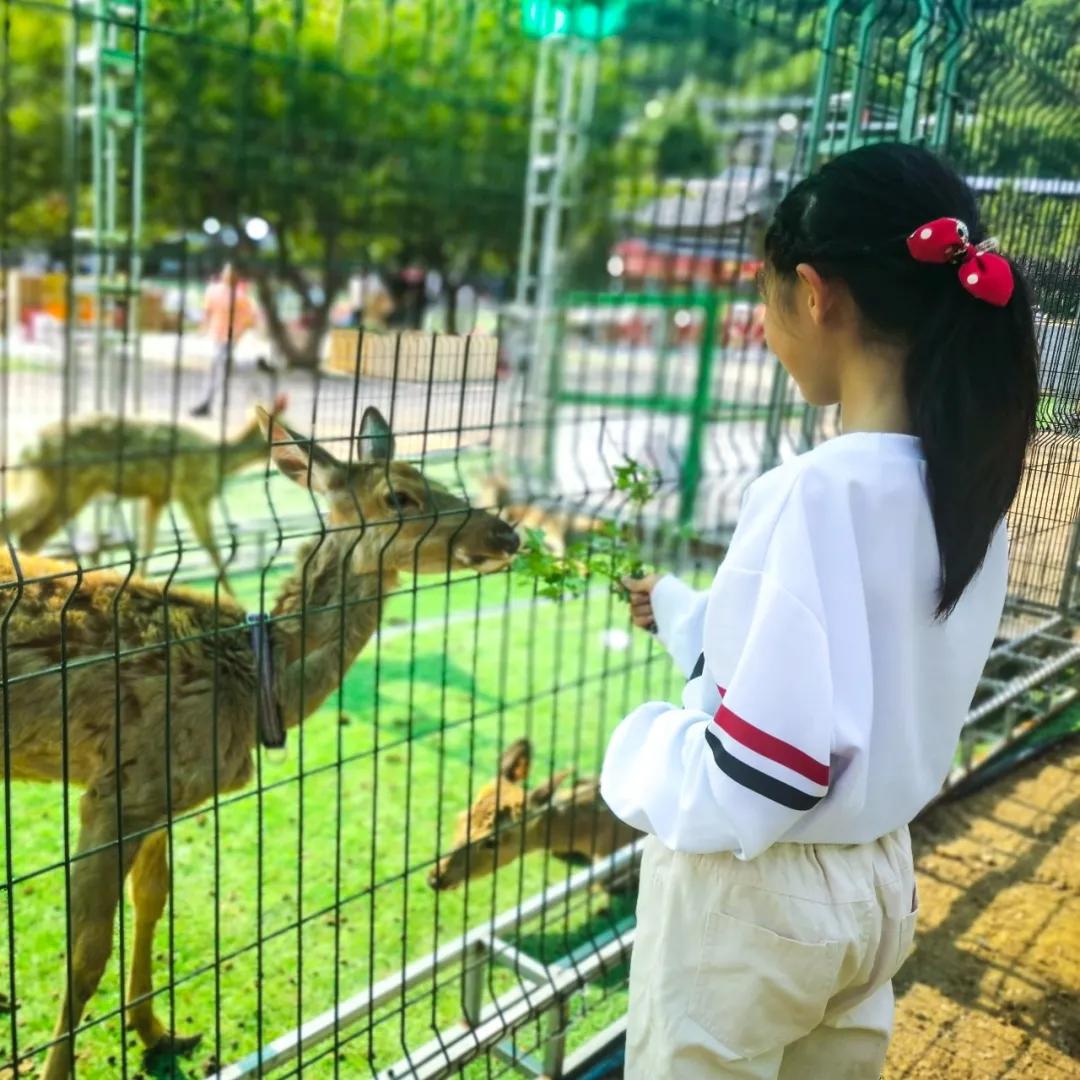 亲子游玩好去处欢乐果亲子农场,快乐六一亲子游农场游玩攻略来袭