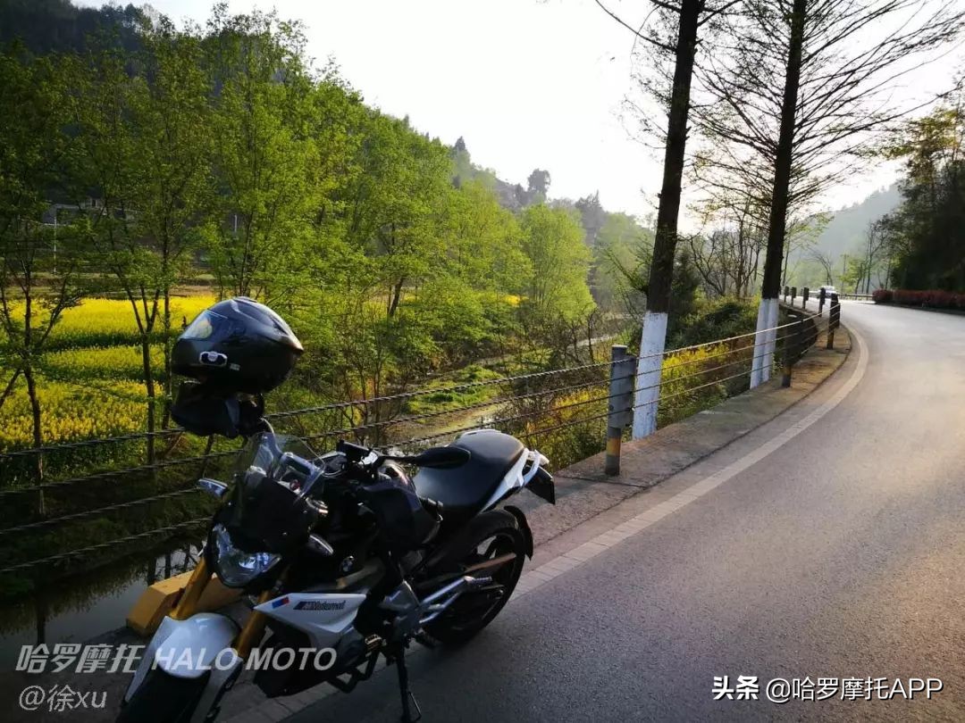 宝马g310r和g310gs的区别,宝马g310rr跟宝马g310gs的区别