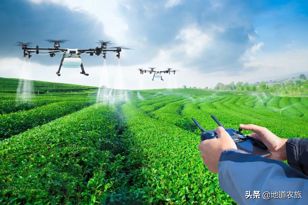 回农村搞农业真的赚钱吗,返乡搞农业你挣到钱了吗