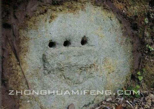 最快的找野生蜜蜂窝方法,如何寻找诱引野生蜜蜂窝