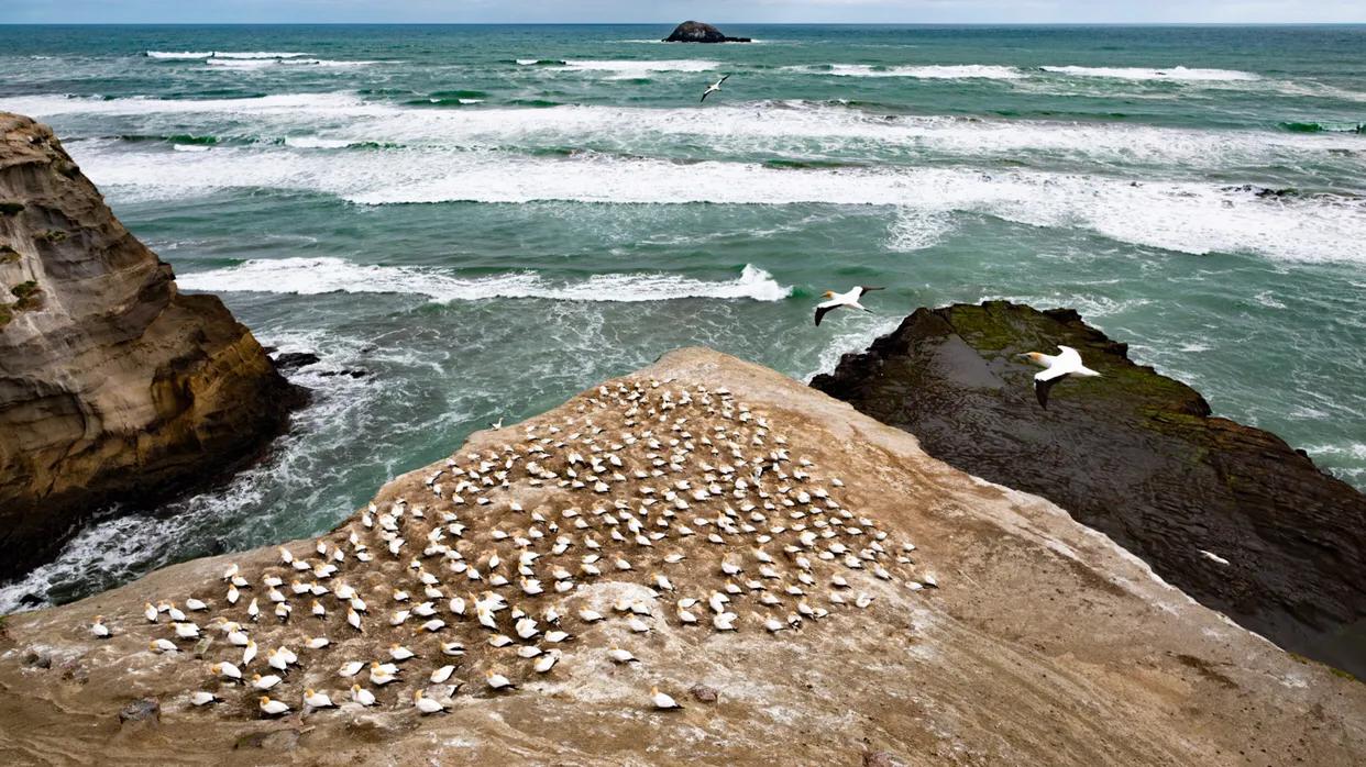 指环王第一季电视剧,剧版指环王在哪可以看