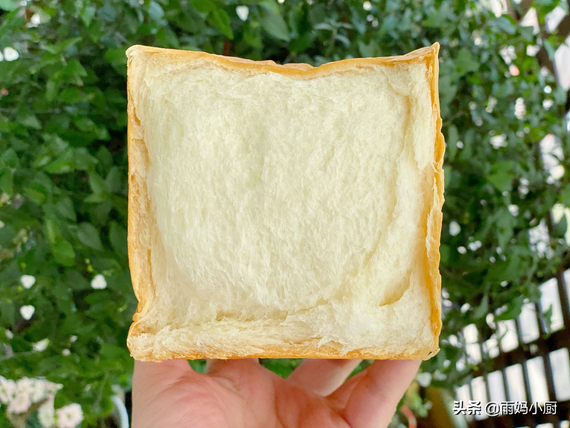 最正宗的吐司配方视频,吐司配方300克