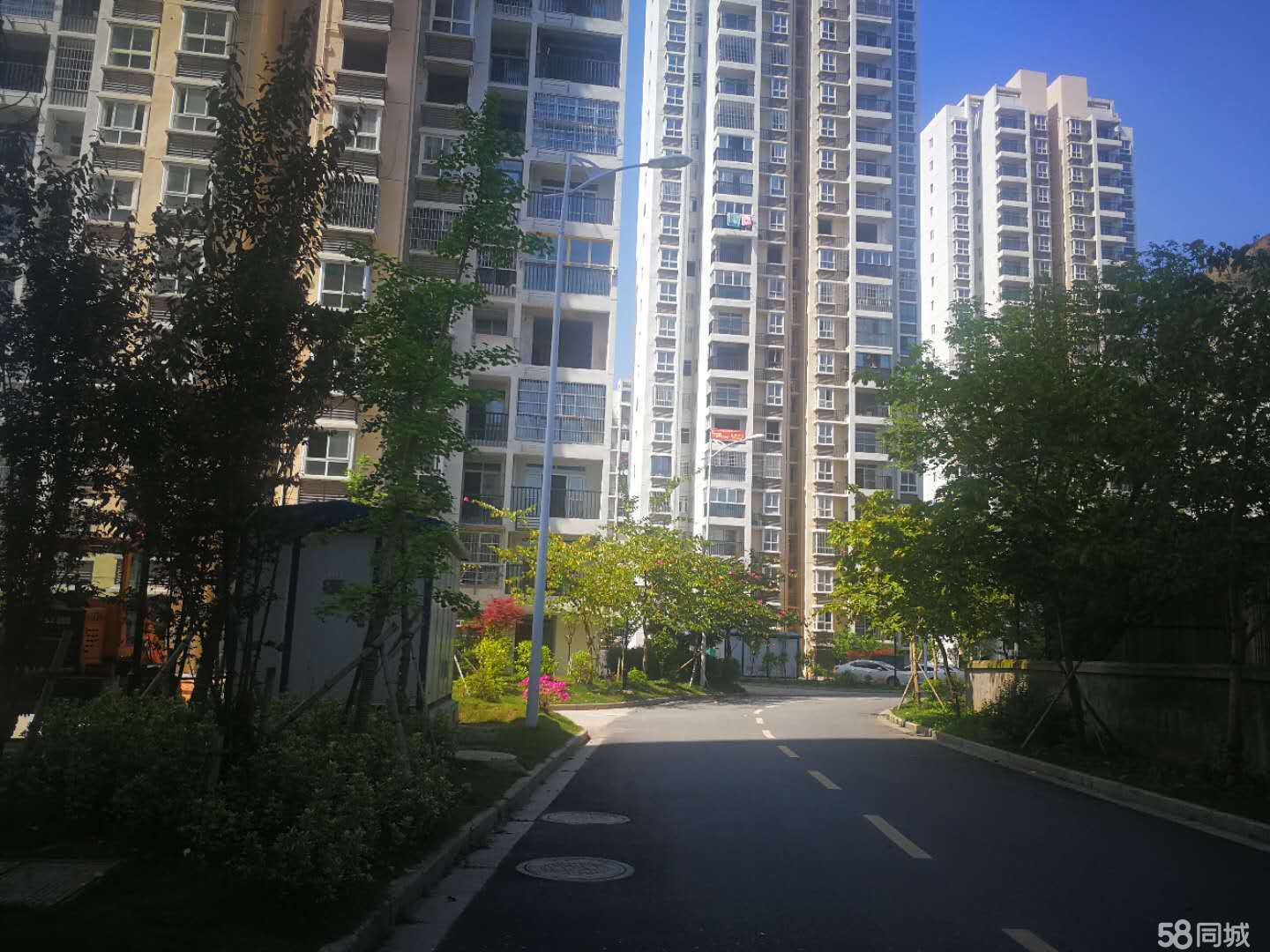 他们房子的家具全被拆除了爱爱爱啊