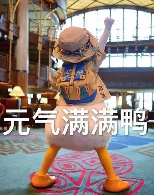 【全民爱车季】2019年最新各车型空调滤清器拆装位置（下）