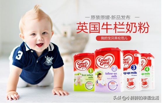 婴儿奶粉排行榜10强品牌有哪些,婴儿奶粉排名前十名的品牌有哪些