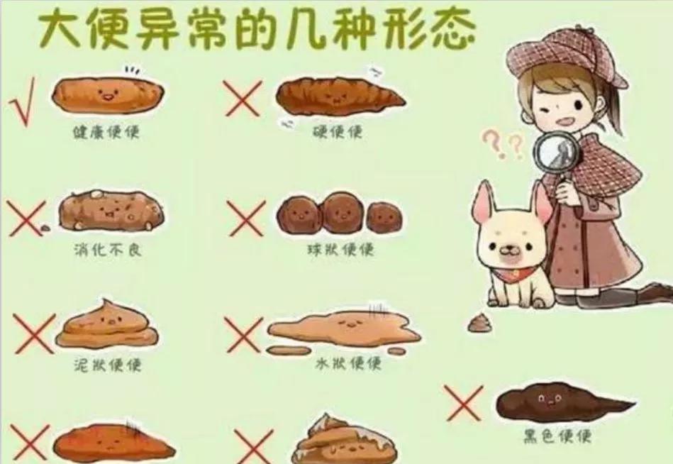 马桶有一块便便冲不下去怎么回事,便便粘马桶肛门四周痒是什么原因