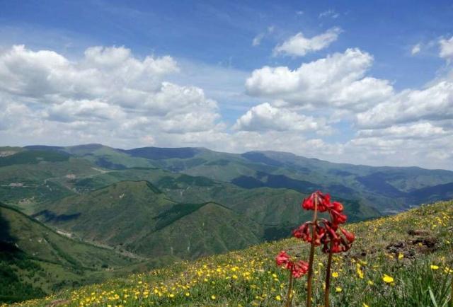 佛教四大名山普陀,佛教四大名山之一菩萨道场