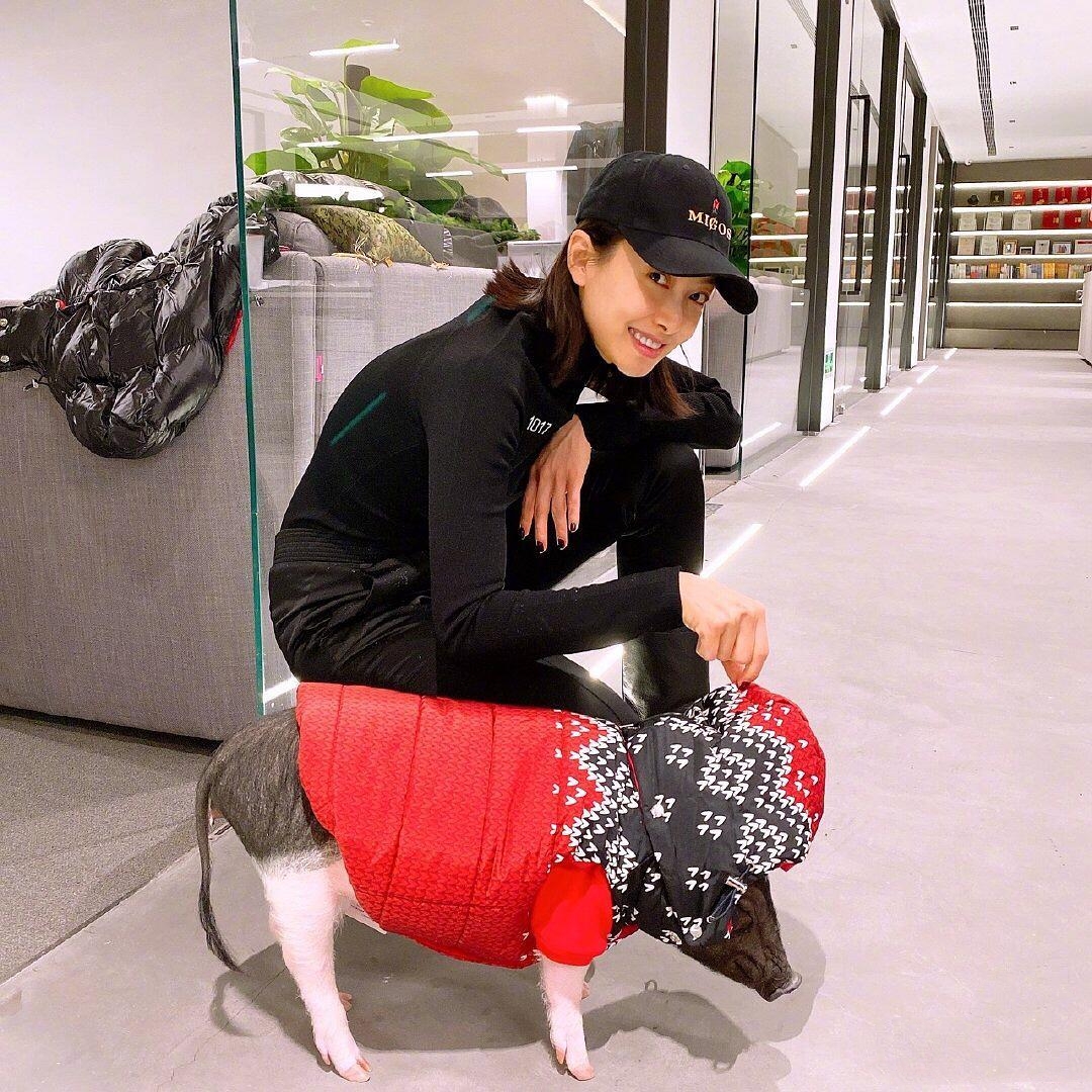 狗生巅峰！陈伟霆家狗狗被抱着睡住湖景豪宅，宋茜家宠物猪更时髦