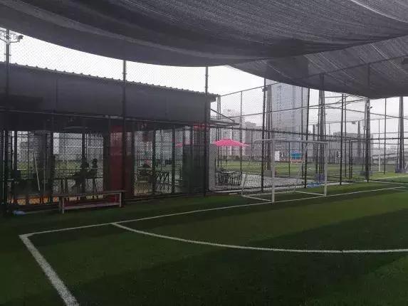 微信运动100步的人,微信运动10000步的人在干什么