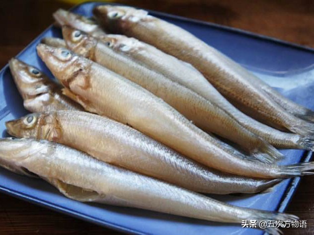 沙丁鱼长什么样图片大全,沙丁鱼是长什么样的呢