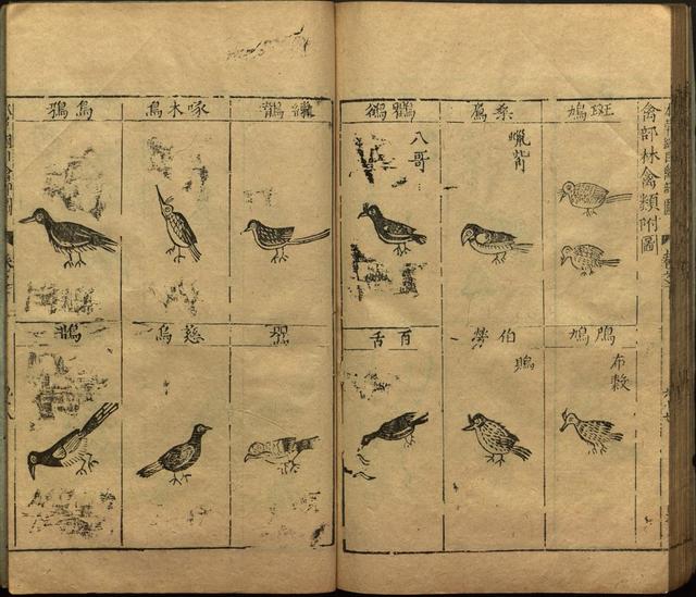 李时珍与本草纲目ppt课件,神农本草经正版李时珍书籍