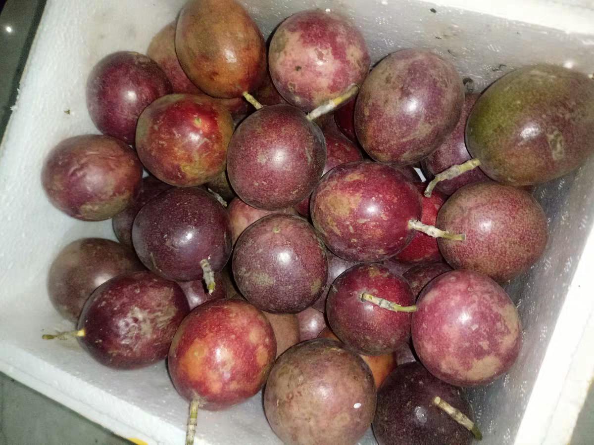 吃了可以促进代谢的水果,代谢慢可以吃什么水果