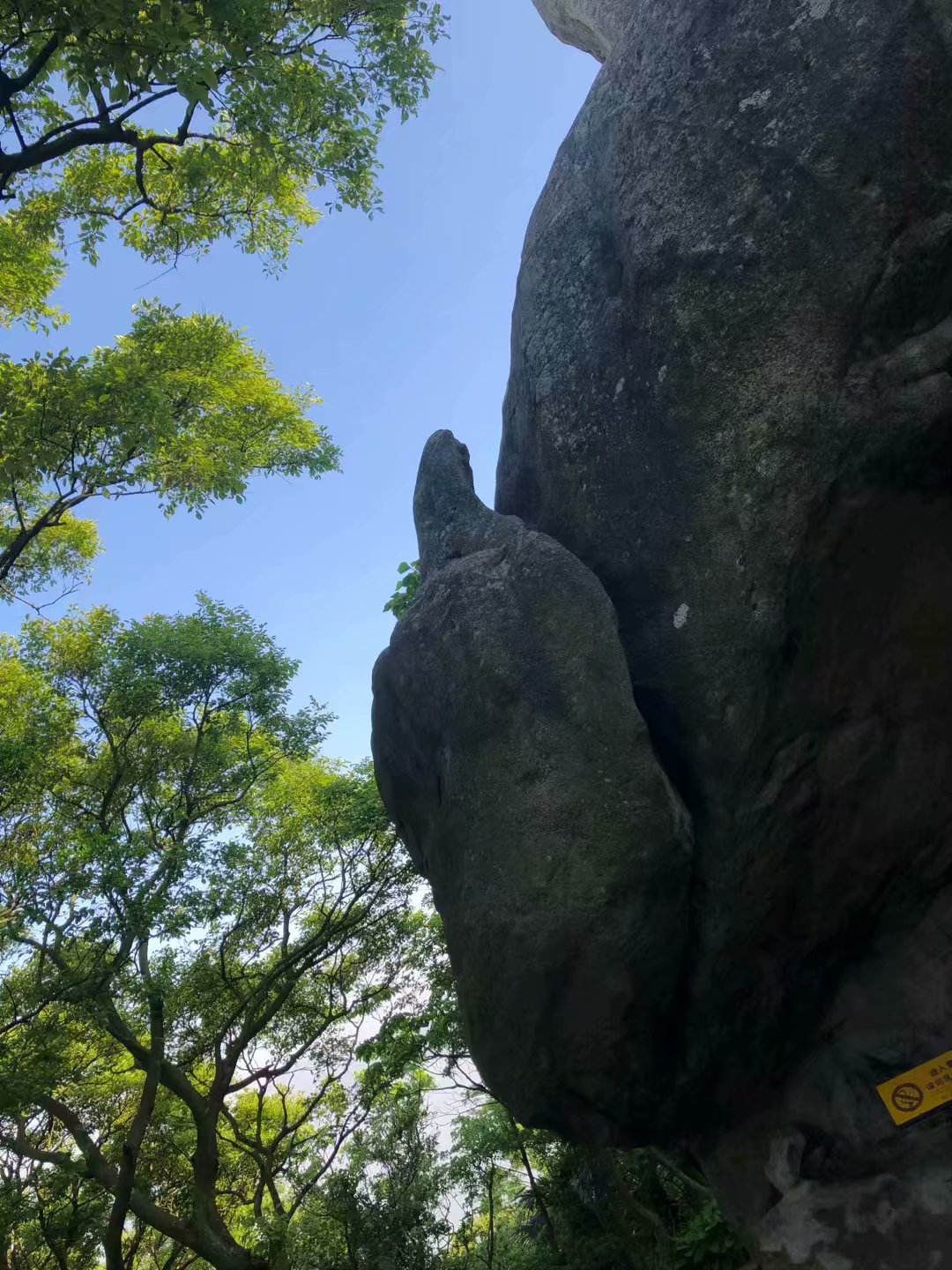 普陀山二龟听法石简介,普陀山二龟听法石位置
