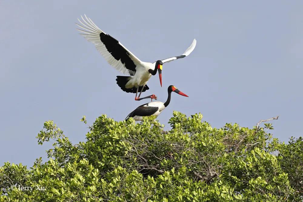 情人节，就该和爱的人*爱做**做的事