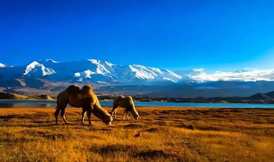 中国快递之快让全世界都惊呆了,中国桥梁为何惊呆了全世界