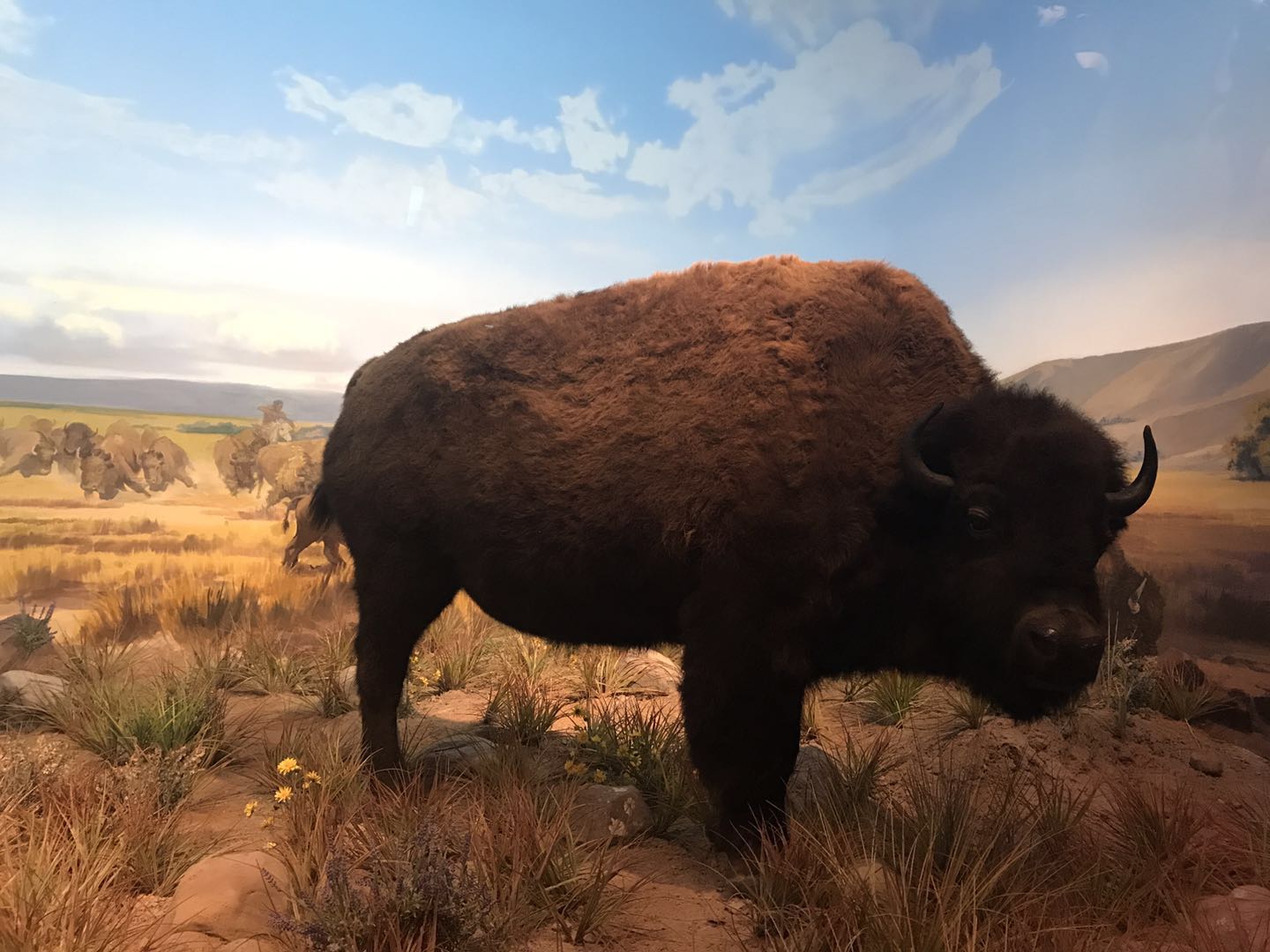 海洋博物馆带孩子游玩攻略,国家海洋博物馆最全攻略来了