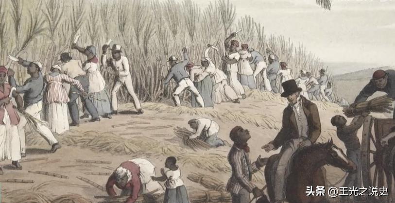 巴西还能崛起吗,巴西为什么不像美国一样发达