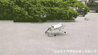 轻量级智能机器狗,最新款智能机器狗推荐