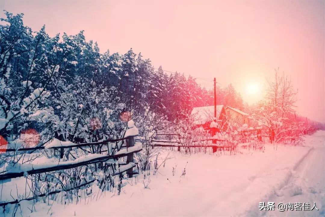 碎玉坠琼芳，流年忆甜柔