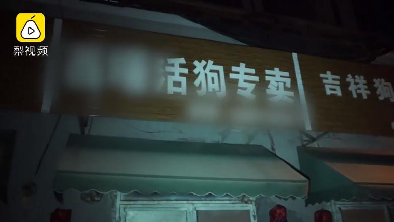 沈阳男女当街扑杀流浪狗,沈阳一男女当街抓狗