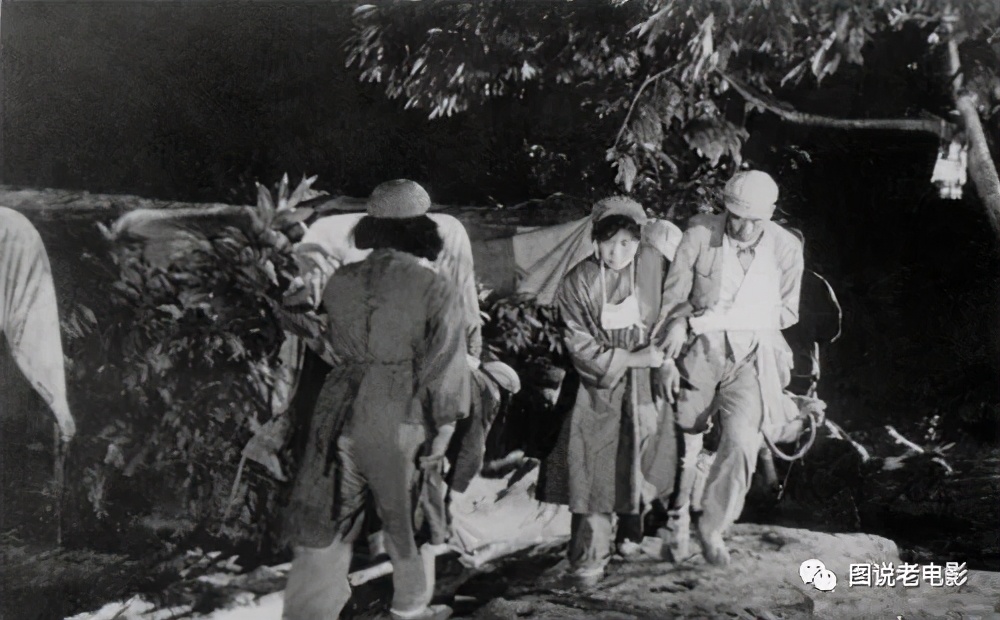 张勇手倪萍剧照,张勇手与夫人图片