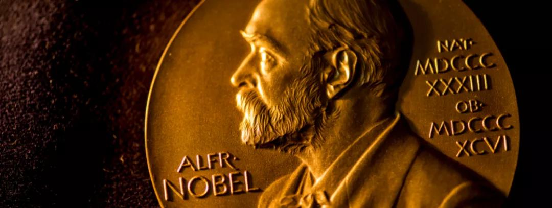 诺奖获得者评中国经济,诺奖获得者对中国的看法