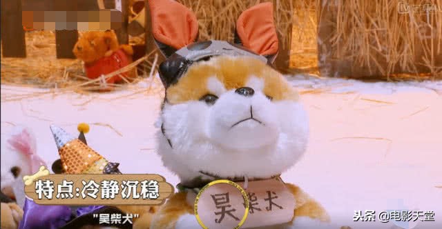 明侦鬼鬼白敬亭同框都是哪几期,明侦白敬亭代表色