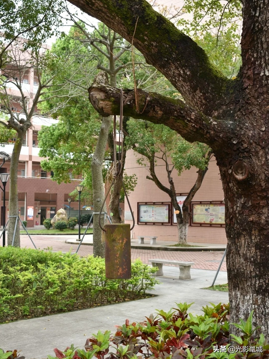 阳东二中校园,阳东二中的母校