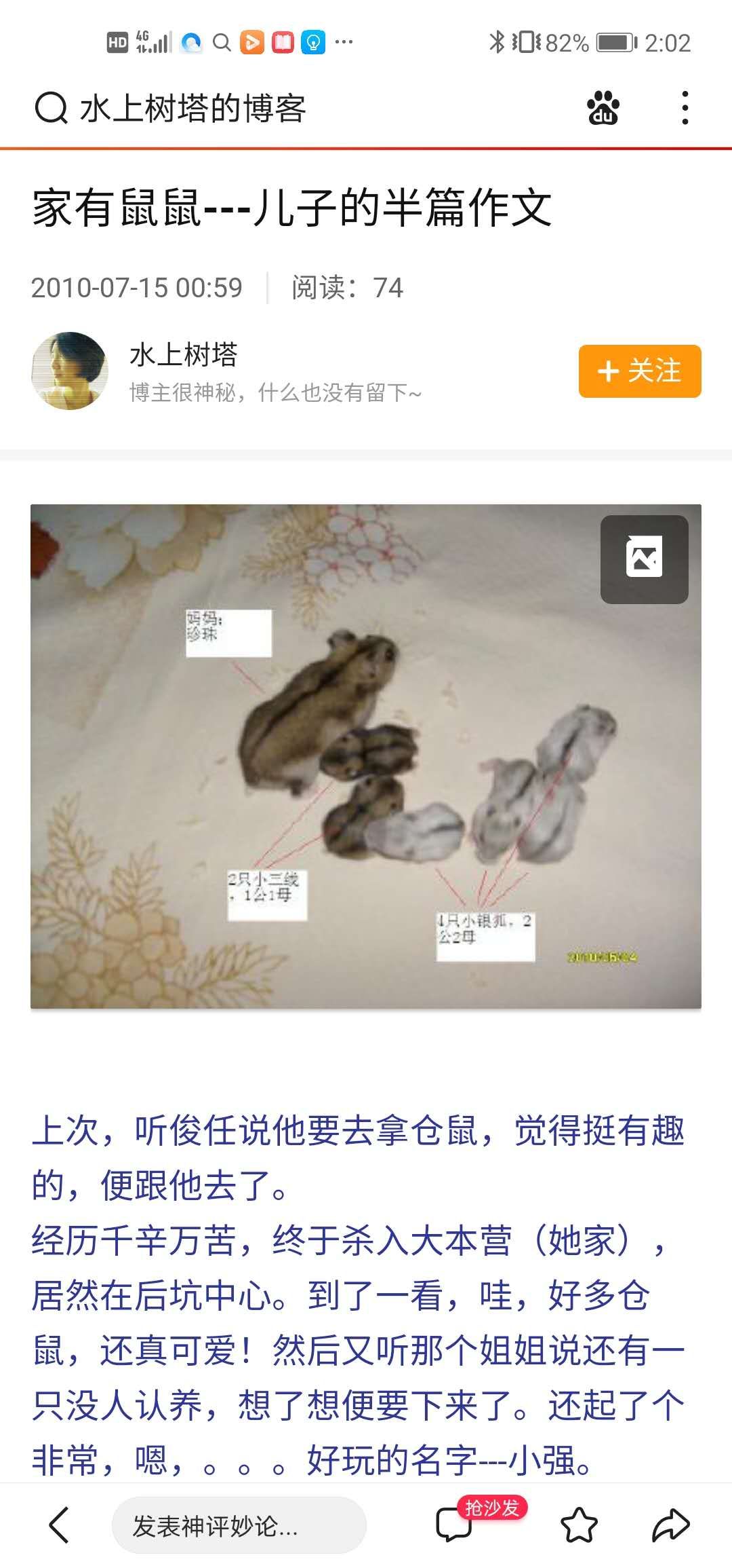 仓鼠第一次看珍珠奶茶,纪念仓鼠的东西