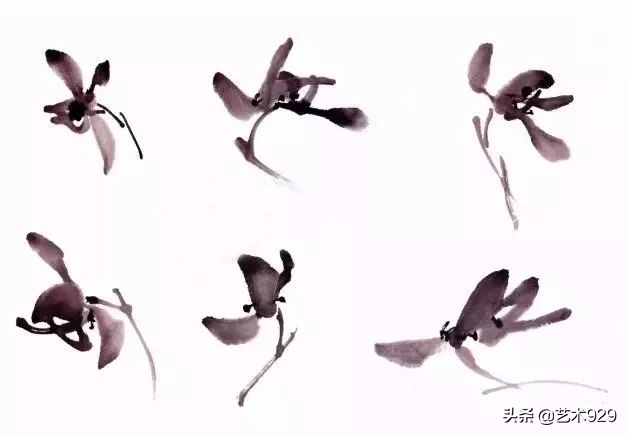 国画兰花的画法太棒了简单易学,泰国兰花绘画技法