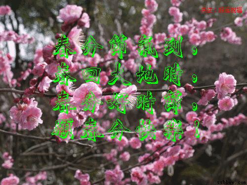 今日春分最美祝福语,今日春分祝福朋友好运