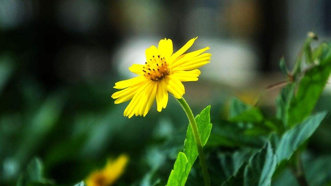 一个人成熟的最佳表现就是知世故,一个为人处事圆滑八面玲珑的人