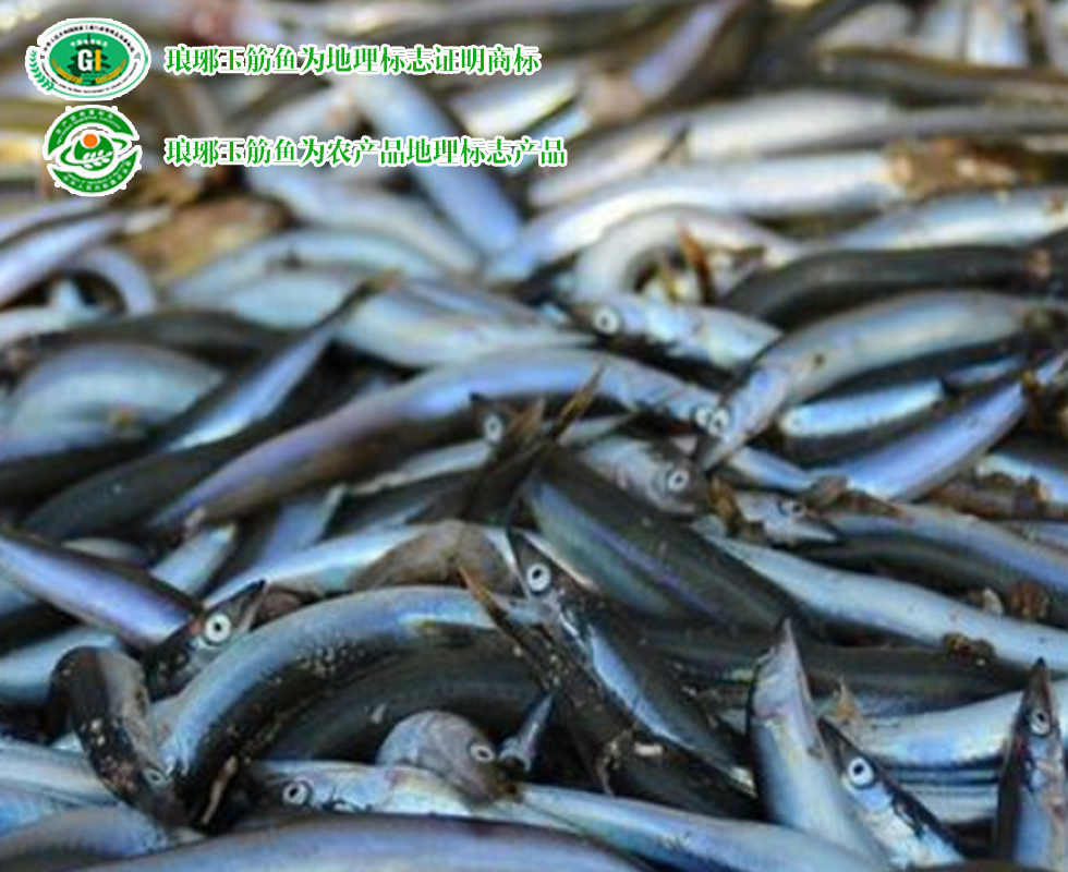 青岛特产十二道海味,青岛特产必买清单排行榜第一名