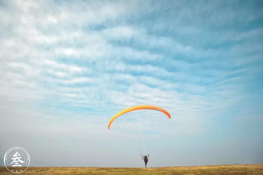 最美银杏秋景自驾攻略,杭州银杏树旅游攻略