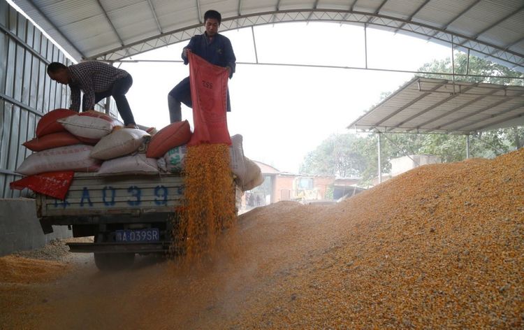 在农村做点小生意什么生意最好做,农村人工廉价适合干什么生意