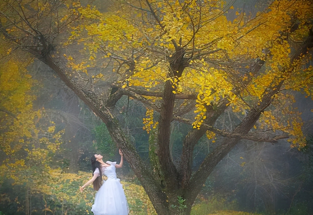 天地英雄气千秋尚凛然读后感300字,天地英雄气千秋尚凛然的作文600字